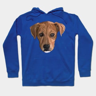 Sweet Brown Pitbull Puppy Portrait Hoodie